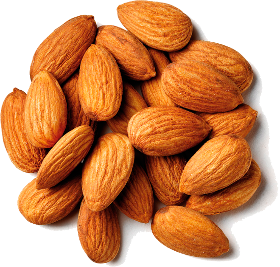 Picture of Almond