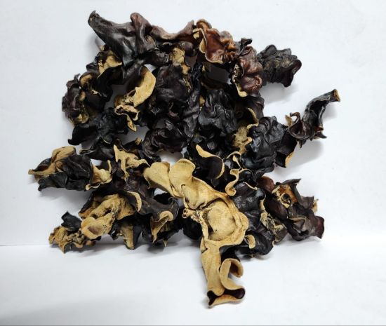 Picture of Black Fungus.